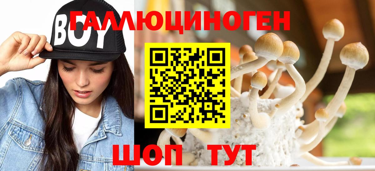 Знаменск  Галлюциногенные грибы Psilocybine cubensis  Псилоцибиновые грибы Psilocybine cubensis  Вход с VPN 